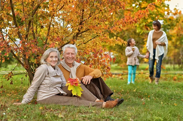 Gran familia en el picnic —  Fotos de Stock