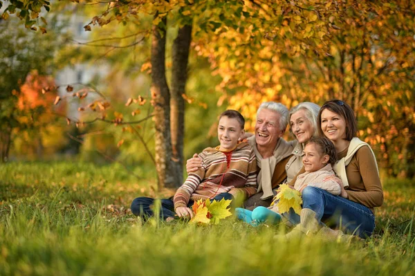 Stor familj på picknick — Stockfoto