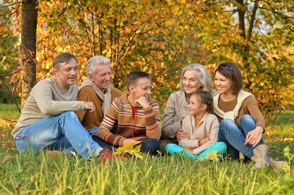 Nagy, boldog család — Stock Fotó