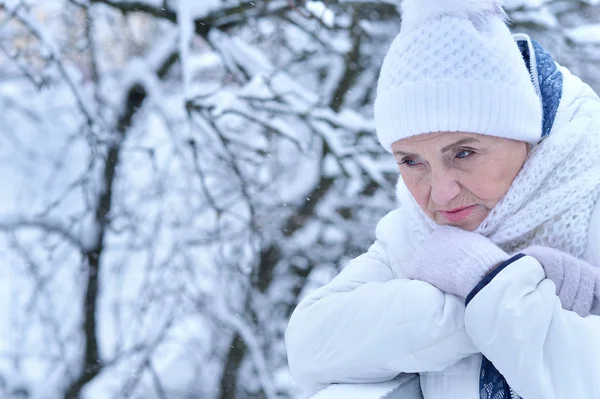 Beautiful senior woman — Stock Photo, Image