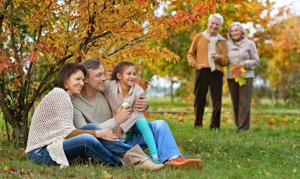 Stor familj på picknick — Stockfoto