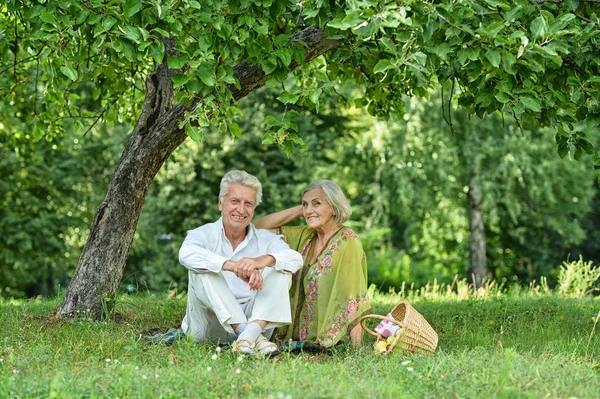 Felice coppia anziana all'aperto — Foto Stock