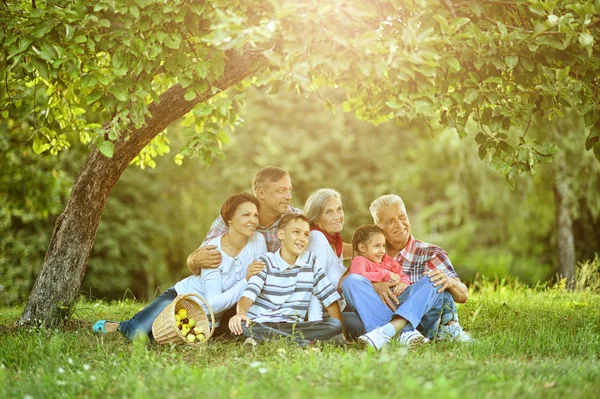 Portrait of big family resting — Stock Photo, Image