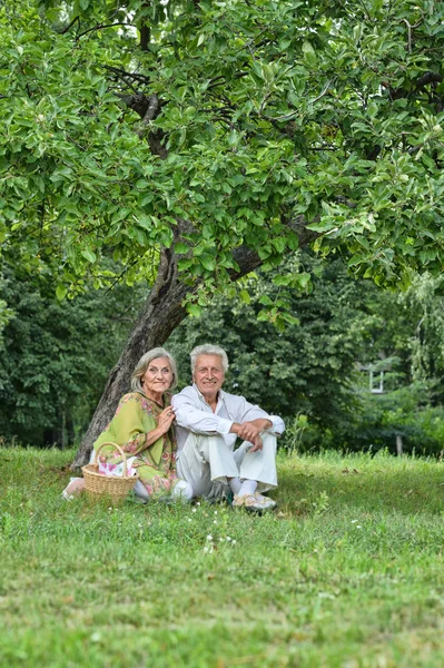 Счастливая пожилая пара на улице — стоковое фото