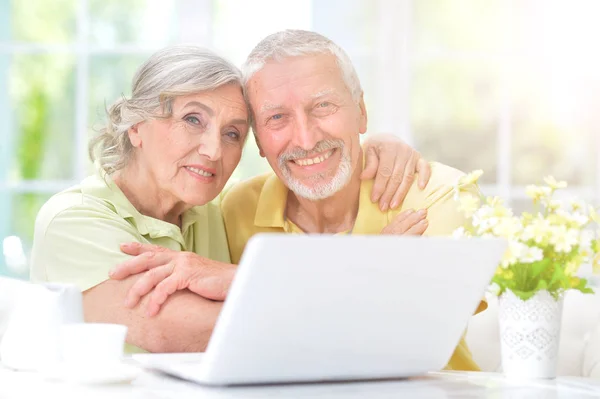 看着手提电脑的年长夫妇 — 图库照片