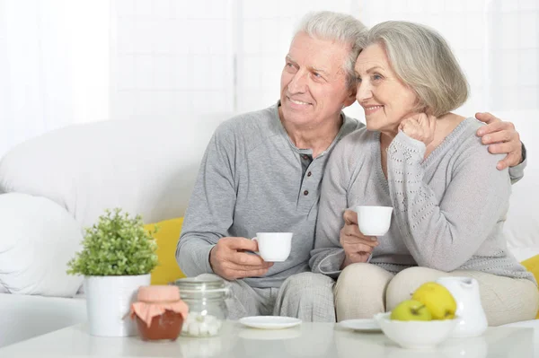 Oudere echtpaar drinken thee — Stockfoto