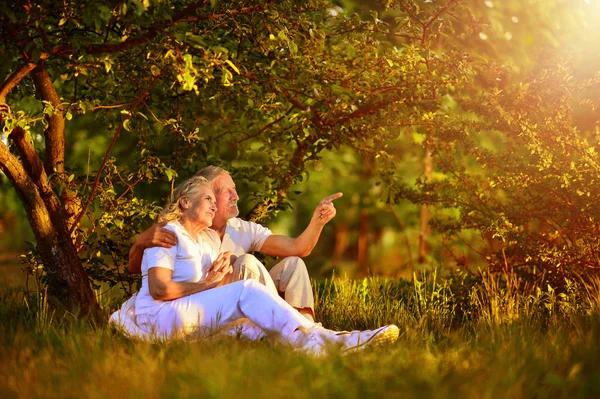 Porträt eines glücklichen Senioren-Paares — Stockfoto