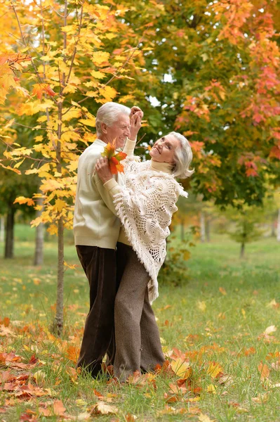 Portrait de heureux couple d'aînés — Photo