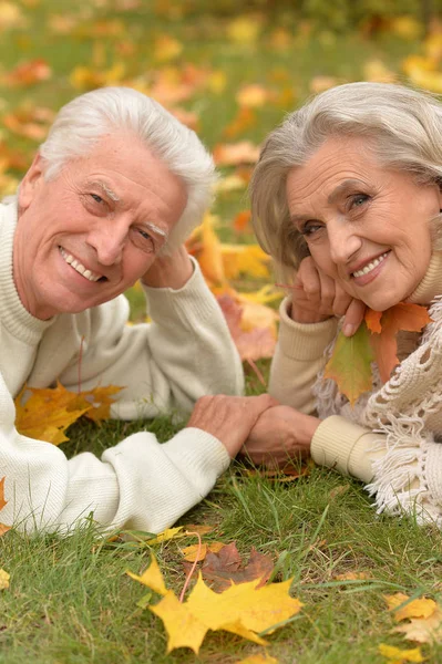 Πορτρέτο του ευτυχισμένου ηλικιωμένου ζευγαριού — Φωτογραφία Αρχείου