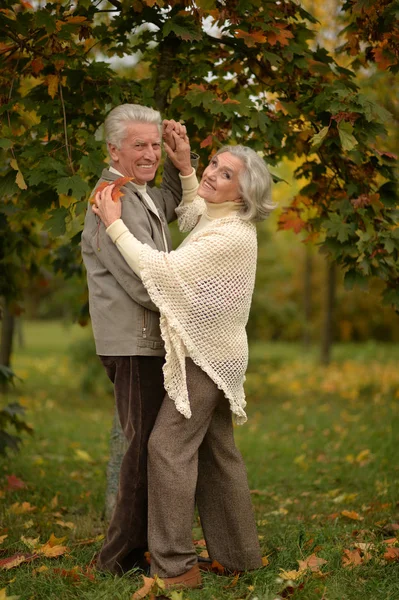 Seniorenpaar tanzt im Park — Stockfoto