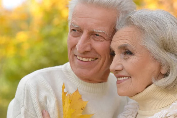 Senior koppel poseren in het park — Stockfoto