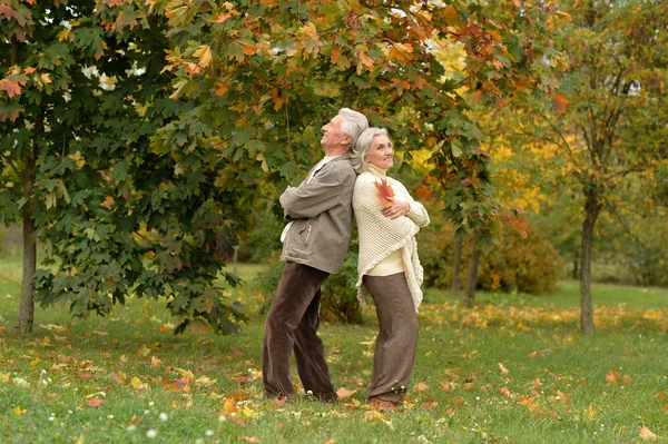 Pareja mayor posando en el parque — Foto de Stock