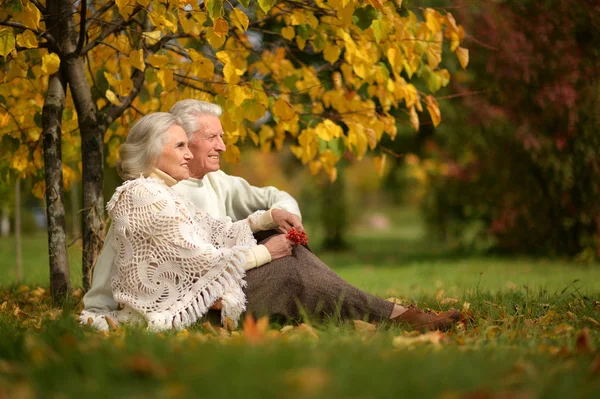 공원에 앉아 있는 부부 — 스톡 사진