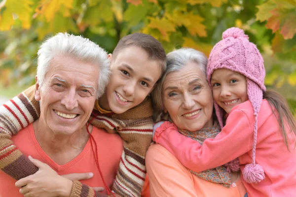 Grandfather, grandmother  and grandchildren    in park — Stock Photo, Image