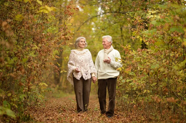 Пожилая пара, идущая по лесной тропе — стоковое фото