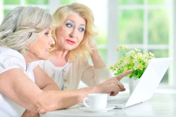 Two mature women looking on laptop — Stock Photo, Image