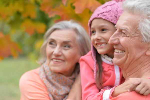 Abuelos felices y nieta —  Fotos de Stock