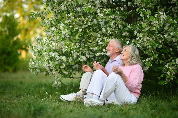 瞑想年配のカップル — ストック写真