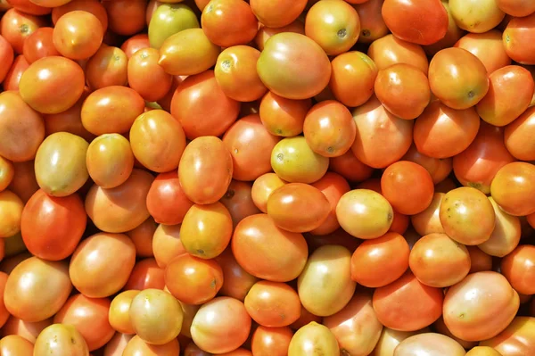 Frische reife Tomaten — Stockfoto