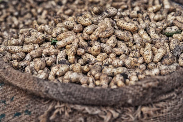 Cacahuetes para la venta en el mercado — Foto de Stock