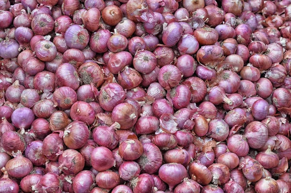 Stapel van rijpe uien — Stockfoto