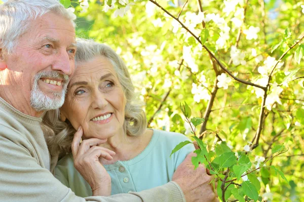 Senior couple under blooming tree — Stock Photo, Image