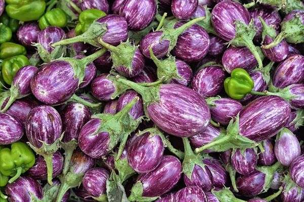 Pila de berenjenas maduras — Foto de Stock