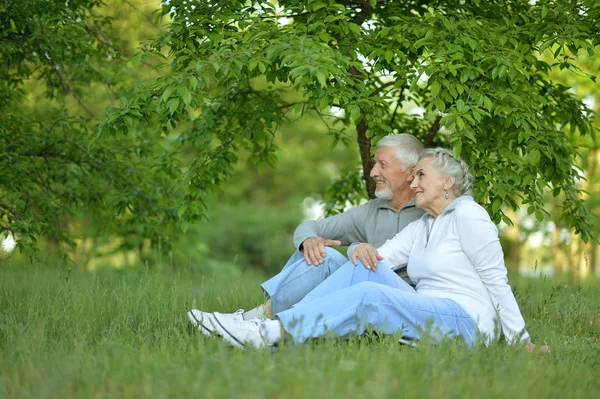 Senior couple on green meadow — Stock Photo, Image