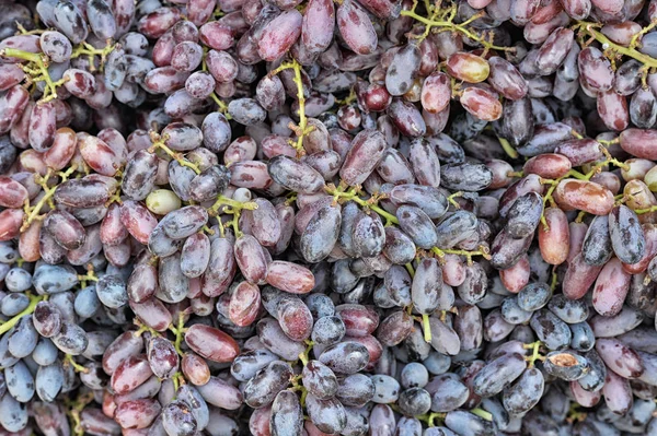 Uvas frescas en venta — Foto de Stock