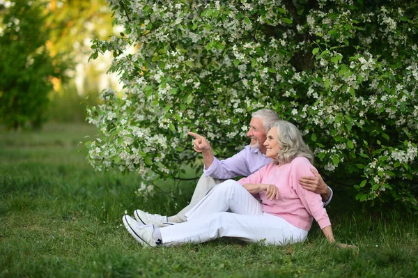 Senior koppel zittend op het gras — Stockfoto