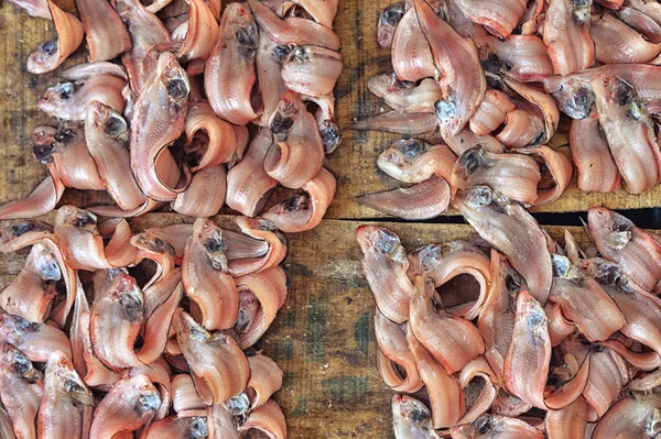 Fresh fish on market — Stock Photo, Image