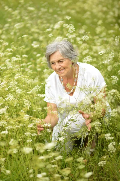 Senior mulher no campo — Fotografia de Stock