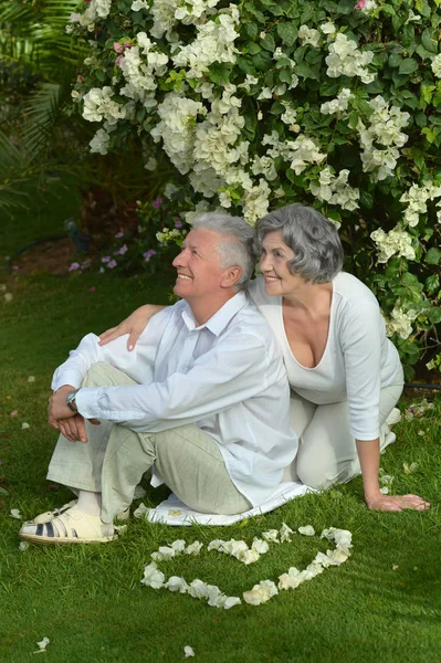 Couple sitting   in the park — Stock Photo, Image