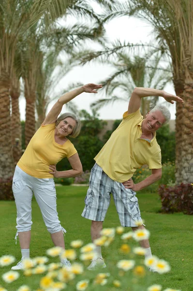 Casal sênior fazendo exercícios — Fotografia de Stock