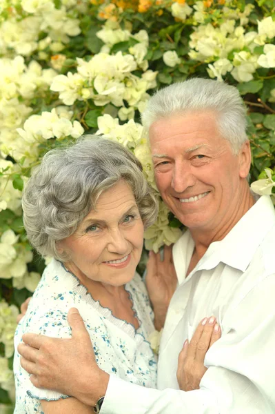 Senior couple  posing — Stock Photo, Image