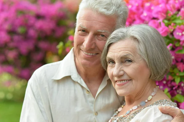 Senior couple near blooming bush — Stock Photo, Image