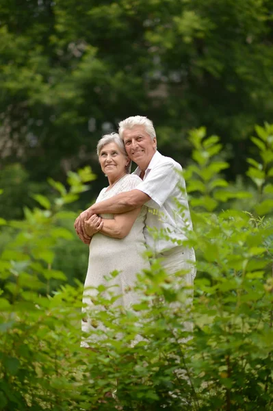 Старшая белая пара в парке — стоковое фото