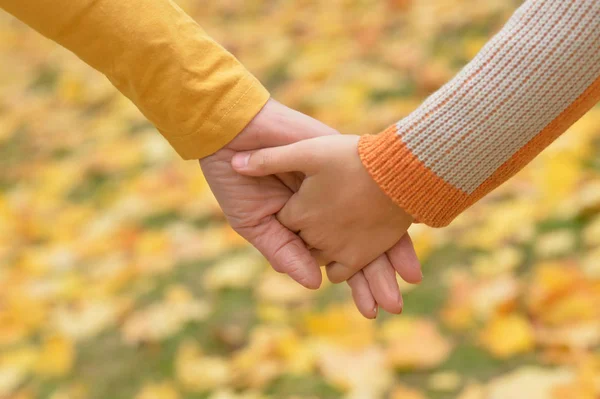 Dos manos juntas en el parque — Foto de Stock