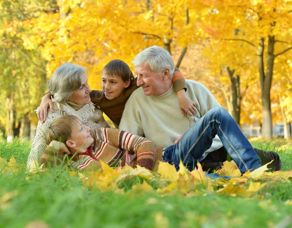 Бабушка с дедушкой и дети в парке — стоковое фото