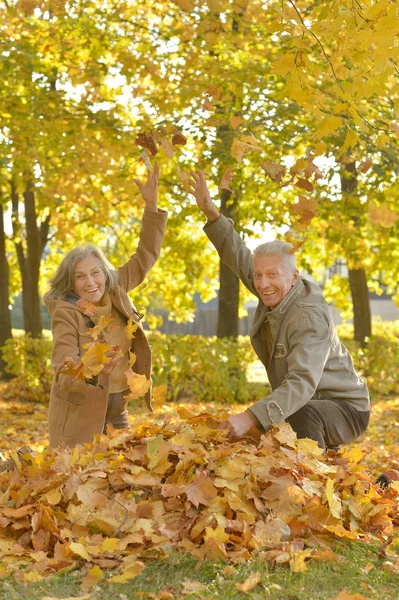 Couple throwing leaves up — Stock Photo, Image