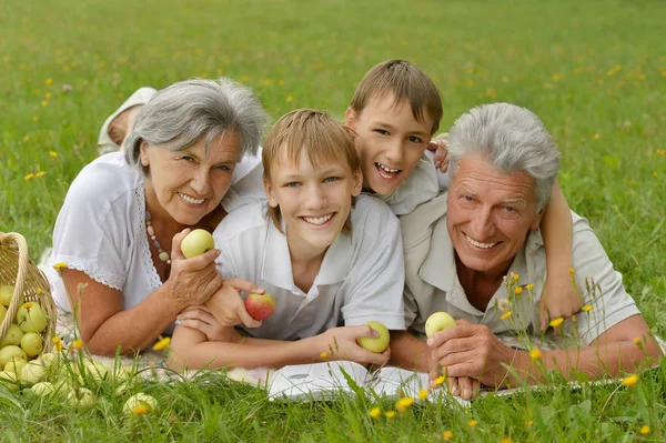 Grandparents with children in park — Stock Photo, Image