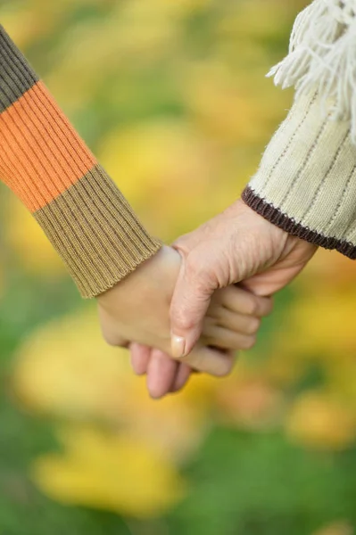 Twee handen samen in park — Stockfoto