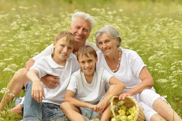 Nonni con due ragazzi sull'erba — Foto Stock