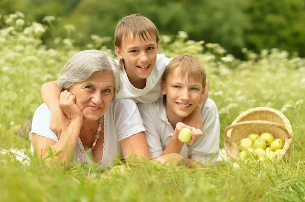 Kvinna med två pojkar liggande på gräset — Stockfoto