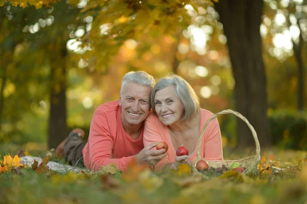 Paar poseren in herfst park — Stockfoto