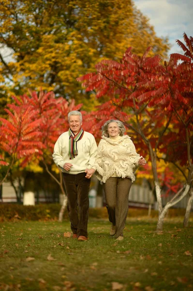 Seniorenpaar läuft in Park — Stockfoto