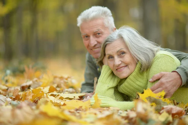 Bejaarde echtpaar liggend op herfst bladeren — Stockfoto