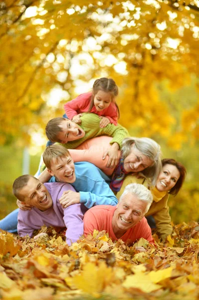 Grande família se divertindo — Fotografia de Stock