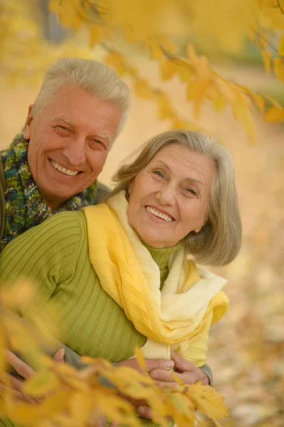 Älteres Ehepaar im herbstlichen Wald — Stockfoto