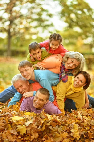 Gran familia divirtiéndose — Foto de Stock